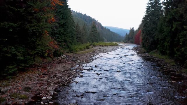 River rapids near mountain foothill with terracotta forests