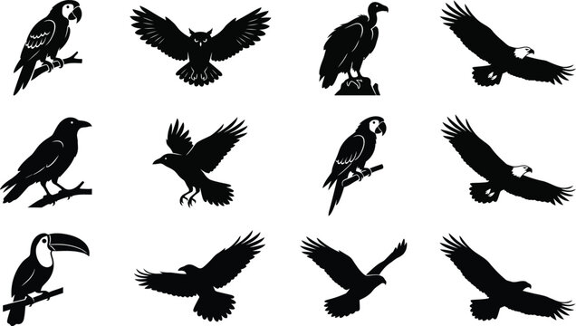 Bird silhouette vector collection of flying and perched birds isolated on white background including eagle owl parrot and crow icons