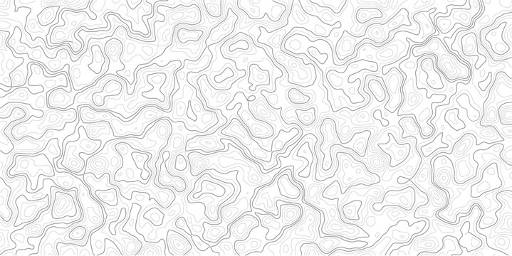 Gray abstract topographic map pattern with wavy lines and contours on white background_1