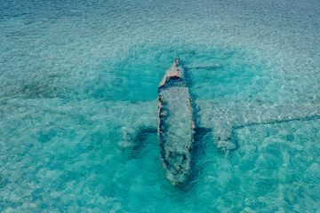 Obraz premium Nature out in the Bahamas 