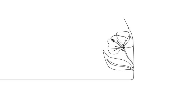 one line hand drawn flower