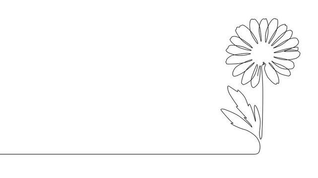 one line hand drawn flower