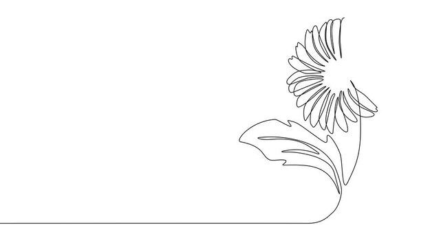 one line hand drawn flower