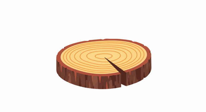 A cross-section of a tree trunk showing its growth rings and a crack