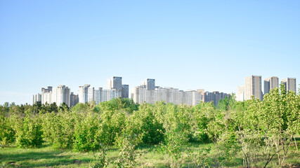 Obraz premium Modern residential complex with high-rise apartment buildings viewed from a green city park with a lush meadow and young trees on a sunny summer day. Eco-friendly urban living concept