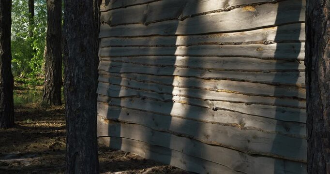 Play of light and shadows on a rustic timber wall in the sunny woodland