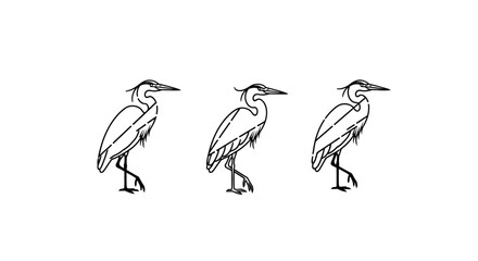 Fototapeta premium Three Illustrated Herons Standing in Simple Line Art Style.