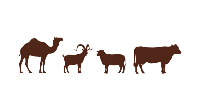 Farm animal silhouettes set including camel, goat, sheep and cow, brown livestock vector icons, agricultural livestock collection on white background