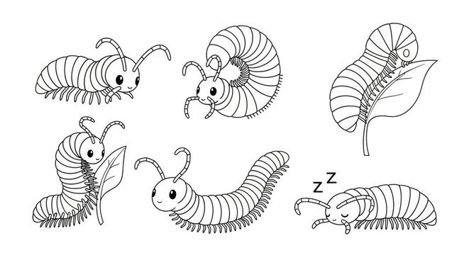 Cute Millipede Characters Set, Hand-Drawn Doodle Collection