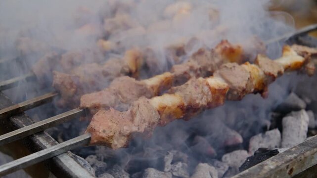 shish kebab on the grill