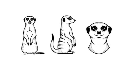 Obraz premium Illustrated meerkats in various standing and sitting poses.