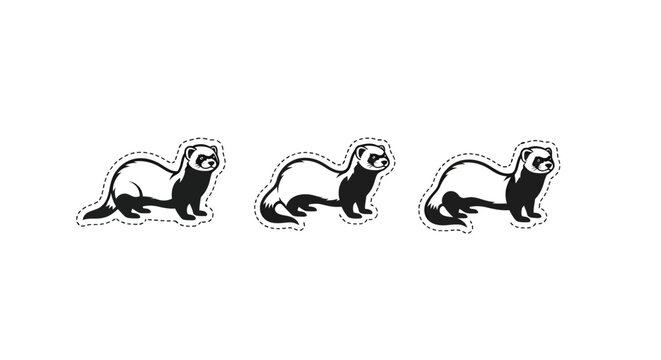 Cute black and white ferret trio in playful poses.