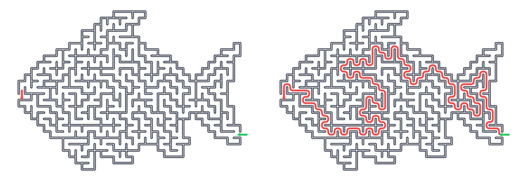 Fish labyrinth puzzle with solution, printable educational activity for kids, logic game and learning worksheet on white background