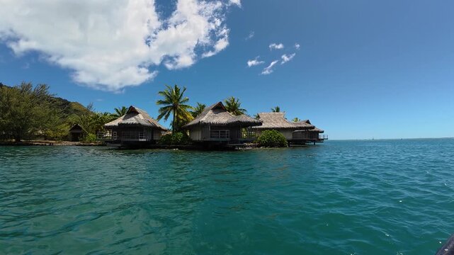 Overwater bungalows on turquoise lagoon with thatched roofs, swaying palm trees, dramatic mountain backdrop under cobalt sky drone shot reveals glassy water and wooden decks, Moorea, French Polynesia