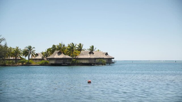 Overwater bungalows on turquoise lagoon with thatched roofs, swaying palm trees, dramatic mountain backdrop under cobalt sky drone shot reveals glassy water and wooden decks, Moorea, French Polynesia