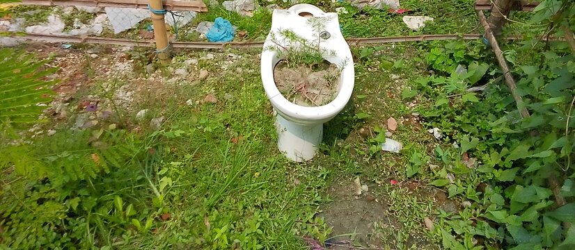 Overgrown toilet bowl filled with greenery and debris outdoors plant growth nature takeover outdoor living disposal site