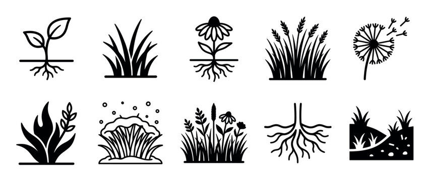 Set of black plant and grass icons showing various stages of growth, including a sprout, roots, a flower, a dandelion, and wheat in a minimalist graphic vector illustration style