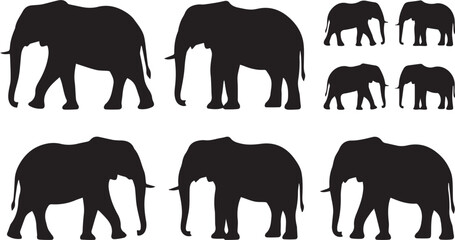  Elephant silhouette collection with multiple walking elephant poses and wildlife animal vector illustration set © MdHaberar