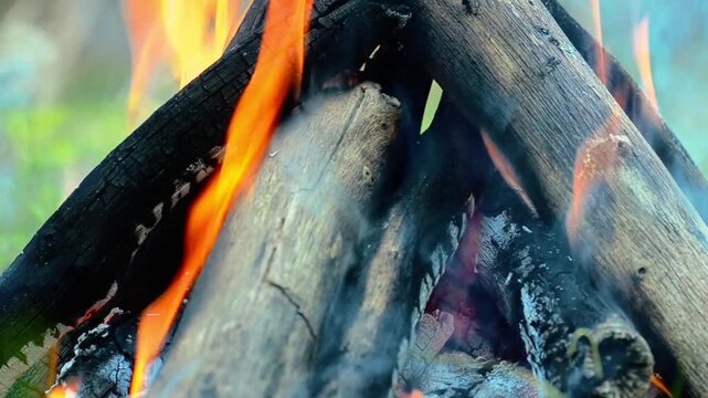 Detailed macro shot of thick smoke rising from charred wood logs in campfire, close up of burning bonfire with hot orange flames and glowing embers outdoors, cinematic textures for calming ASMR video