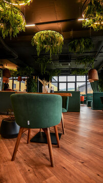 Modern restaurant interior with lush hanging plants and comfortable green seating