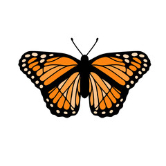 Detailed monarch butterfly vector graphic © Syahru Nova
