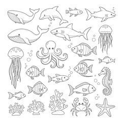 Fototapeta premium Collection of various sea creatures swimming.