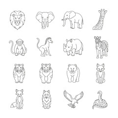 Obraz premium Collection of various wild animal drawings.
