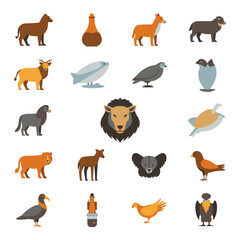 Obraz premium Collection of Various Wild Animal Species.