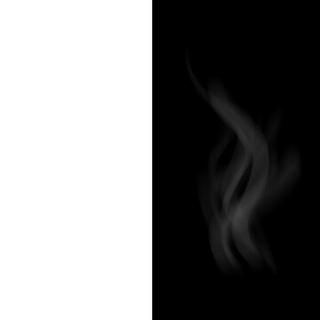 Tea smoke, coffee cup, food steam or vapor clouds, realistic white cigarette or hookah steam trail, hot dish or mug haze isolated design elements  , 3d Vector illustration,smoke 