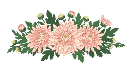 A beautiful watercolor illustration of pink chrysanthemum flowers with lush green leaves and buds creating a soft floral arrangement for spring decor.