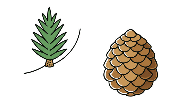 Simple hand drawn pine tree cone sketch, engraved fir tree branch plant illustration.
