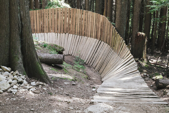 Technical trail feature or TTF on BC biking trail. Curved wood boardwalk with banked berm corner in North Vancouver rainforest. Advanced mountain biking structure. Selective focus.