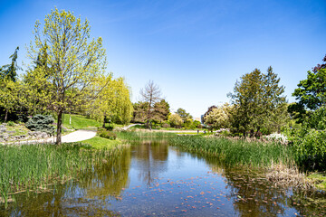 Obraz premium Landscape view of Humber Arboretum pond and walking paths in Toronto.
