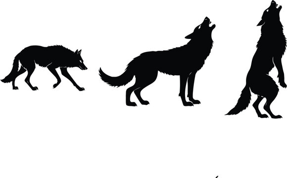 Three black wolf silhouettes howling and walking