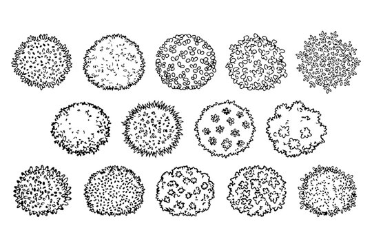 Bush Shrub Hatch Pattern Vector Set for Landscape Architecture CAD Texture Design