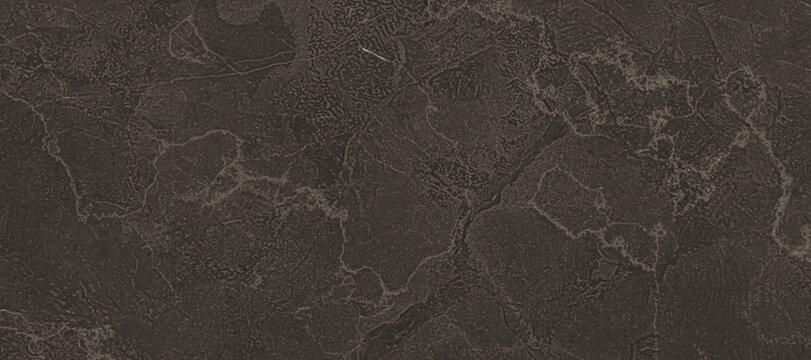 A dark grey stone surface with subtle lighter veining. The texture appears slightly rough, suggesting a natural material