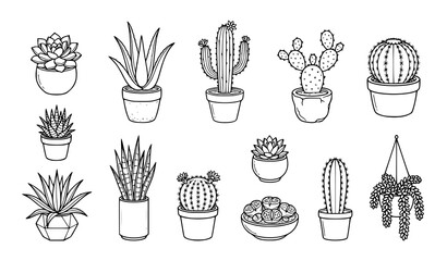 Minimal cactus and succulent outline vector set isolated on white background © MdRabbi