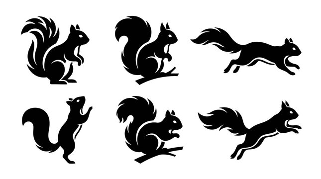 different black squirrel silhouettes on a clean white background, minimalist vector style.
