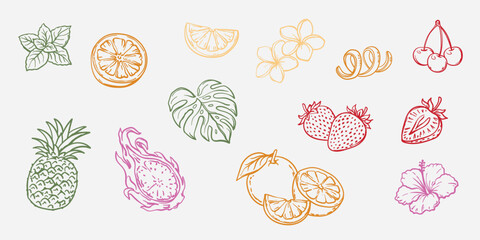 Hand-drawn tropical fruits and cocktail garnishes set, summer exotic ingredients line art icons collection. Hand drawn sketch icons of pineapple, orange, strawberry, cherry, lime slice © Yuliia