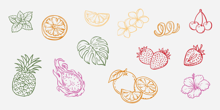 Hand-drawn tropical fruits and cocktail garnishes set, summer exotic ingredients line art icons collection. Hand drawn sketch icons of pineapple, orange, strawberry, cherry, lime slice