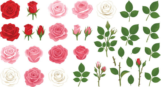 Comprehensive vector illustration design set featuring individual realistic rose blossoms flower buds single leaves and stems for custom floral patterns isolated on white