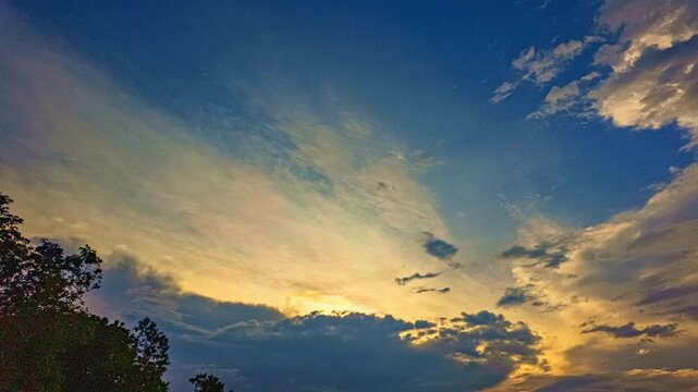 A tranquil wetland area, as the sun paints the sky in soft pastel colors, the evening breeze blows as flocks of birds begin to fly out of their nests to feed. A view of the bounty of nature.
