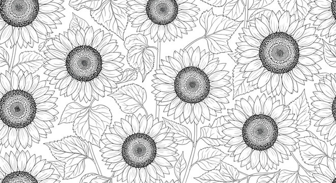Detailed black and white seamless pattern of sunflowers and foliage for spring summer nature design.