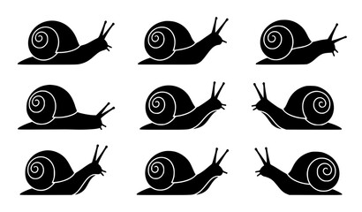 Snail Silhouette Vector Set with Crawling Garden Mollusk Animal Illustration © Sabbir