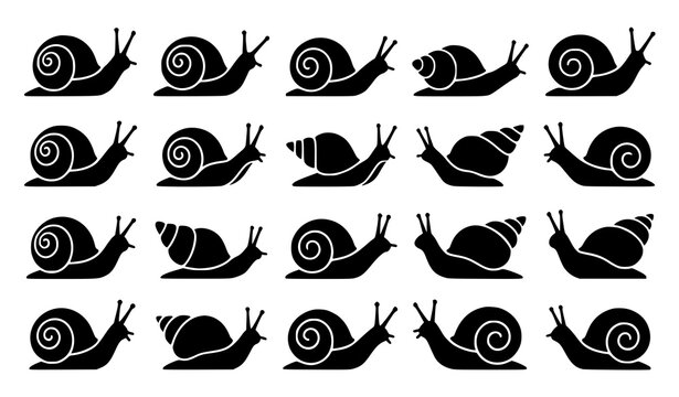 Black Snail Silhouette Collection with Spiral Shell and Nature Animal Vector Art