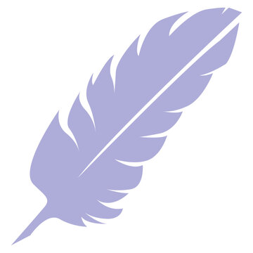 Soft Light Feathers From Birds