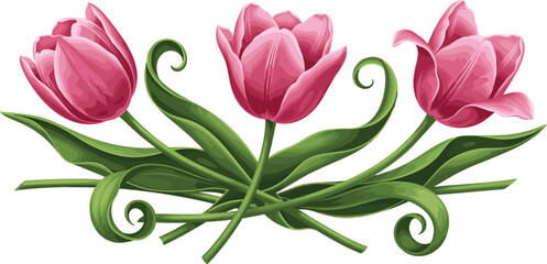 Elegant Pink Tulip Flower Bouquet Vector Illustration with Swirling Green Leaves for Spring Greetings, Wedding Invitations, and Floral Birthday Card Designs © MstGulzan