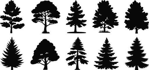 Diverse Tree Silhouette Icon Set Featuring Deciduous and Coniferous Species for Landscape Design, Nature Conservation Projects, Forest Environment Graphics, Vector Illustrations. © Rofiqul Studio