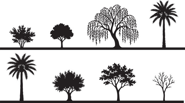 Tropical palm trees weeping willow and deciduous tree silhouette vector illustration set for landscape design laser cutting CNC plasma engraving