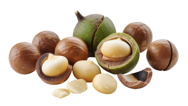 Group of whole and cracked macadamia nuts with green husk, isolated on transparent background